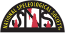 NSS Logo